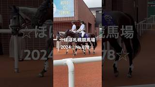 ☆ほぼ札幌競馬場2024☆No.078☆8月17日.札幌.8R☆ #horse #サラブレッド#馬 #競馬場 #札幌競馬場