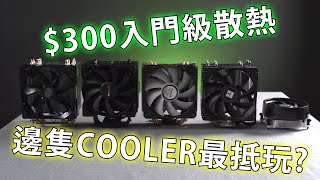 $300 入門級塔散入手攻略! 邊隻最抵玩? (CC中文字幕)