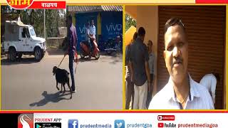 THEFT AT SATTARI FARMERS CO-OP SOCIETY _Prudent Media Goa