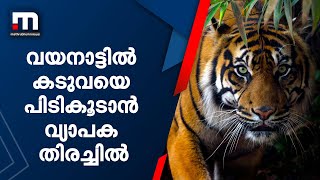 കഴുത്തിൽ ആഴത്തിൽ മുറിവേറ്റ വയനാട്ടെ കടുവയുടെ ചിത്രം പുറത്ത്; തിരച്ചിൽ വ്യാപകം| Mathrubhumi News