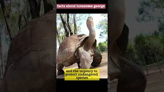 Lonesome George: The Last of His Kind | A Tale of Endangered Species #shorts @FactsMine