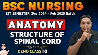 STRUCTURE OF SPINAL CORD | anatomy | bsc nursing 1st sem | anatomy BSC NURSING | BSC NURSING