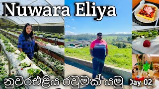 Nuwara Eliya | Abewela Farm | Strawberry Farm | සීතල නුවරඑළිය අපි ගත කරපු දෙවෙනි දවස.