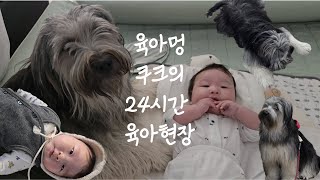 삽살개와 함께하는 애개육아 브이로그[육아멍 삽살개 쿠크의 현장육아 24시간 단독취재]