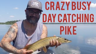 Canoe Pike fishing at Lac St Anne, Alberta. Absolute non-stop action.