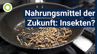 Heuschrecken, Würmer, Grillen: Sind Insekten das Nahrungsmittel der Zukunft?