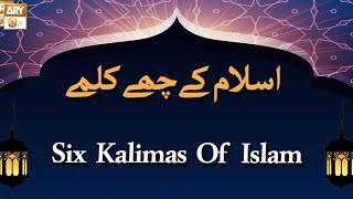 Islam Kay Che Kalme | Learn and Memorize Six Kalimas Of Islam | Islamic Information | ARY Qtv
