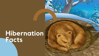 Hibernation Facts | Science Facts