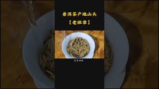 老班章連續10年屹立普洱茶江湖不倒。。喝茶有講究，喝茶步驟，wechat：zcj049#召喚茶友 #喝茶 #普洱茶