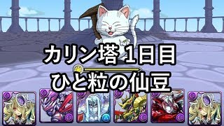 パズドラ ドラゴンボールコラボ カリン塔 1日目 ひと粒の仙豆