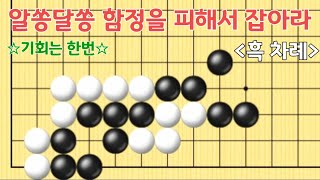 (한문제)사활 문제풀이#25