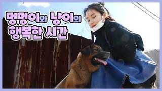 멍멍이와 냥이의 행복한 시간 | 생생투데이 사람과 세상 | 20191231