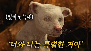 정글과 인간 세계를 오가는 늑대 소년의 위대한 성장 영화 [영화리뷰/결말포함]