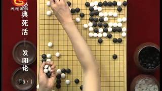 方天丰围棋经典死活：发阳论97