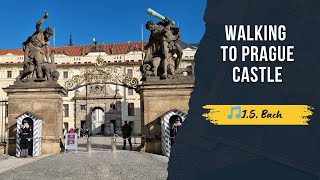 Walking to Prague Castle with J.S. Bach: Guard Ceremony \u0026 Cathedral Views 🎻🏰