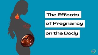 How a Mother's Body Changes During Pregnancy Animation Video | What to expect when you're Pregnant
