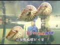 popular videos 下课花路米