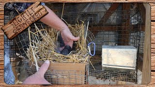 Preparing For The First Baby Rabbits of The Season