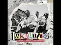 Dj Tira & Heavy K Feat. Makhadzi,Zee Nxumalo & Afro Brothers - Inkululeko (Offcial Audio)