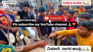 Rescued ನಾಗರ ಹಾವು #indiancobra #snake #venomoussnakerescue #youtube #karanataka #bijapur #viral