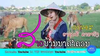 ສາວບ້ານນາຄ່ຳຄວນ/cover version/ອາລຸນນີ ດາລາວົງ