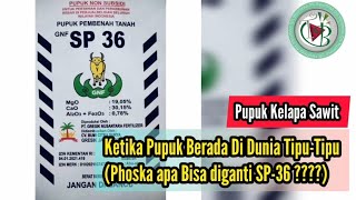 Ketika Pupuk Berada Di Dunia Tipu-Tipu (Phoska apa Bisa diganti SP-36 ????)