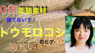 トウモロコシのヒゲ：南蛮毛