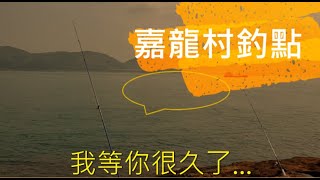 香港傳說釣點【嘉龍村】果然有怪獸 {投釣}