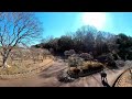 荒山公園の梅林　３６０度動画（２０２４年２月１３日）