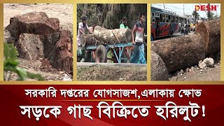 সড়কের গাছ বিক্রি নিয়ে হরিলুটের অভিযোগ, স্থানীয়দের ক্ষোভ | Sell Trees | Barishal | Desh TV