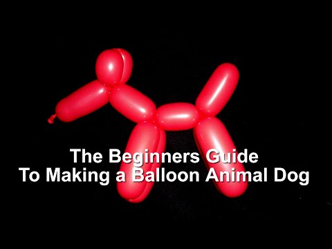 The Beginner's Guide to Making a Dog Balloon Animal The Beginner's Guide to Making a Dog Balloon Animal