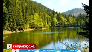 Сьогодні День працівника природно-заповідної справи