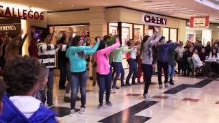 Flashmob Colegio  Northern Hills en el Shopping Los Gallegos Mar del Plata