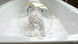 When Soap Surprise Hits The Wrong Spot