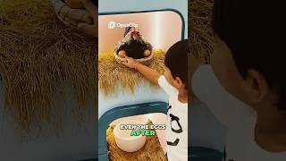 Discover How Dairy and Eggs Are Made_ A Farm Adventure