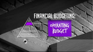 The Art of Startup Finance: Financial Budgeting - Your Operating Budget