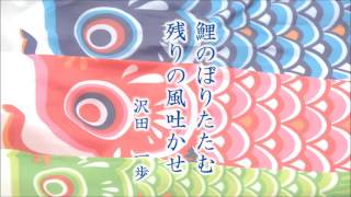 句集を作ってみませんか？ その226　自費出版　俳句　印刷　趣味