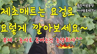 고랑에 농업용 제초매트(부직포)를 깔아보아요