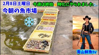 【今週は時化にやられました】今朝の魚市場2月8日土曜日の水揚げ状況