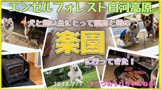 楽園との噂のリゾートに宿泊してきました🏝️🐶🫧