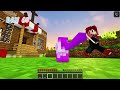 i survived 100 days as a mermaid kitten in minecraft