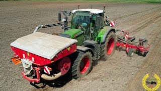 Mais Legen 2022 | Fendt 718 Vario | Horsch Maestro | LU Hermann Bauch