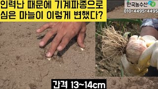 [Korea Agriculture & Fish TV] What happened to Super farmer's garlic farm?