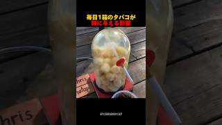 毎日1箱のタバコが肺に与える影響