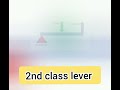 3 types of levers biomechanics first class lever second class lever 3rd class lever.