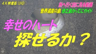 幸せのハートを探せ！【世界遺産の島！徳之島】母間ハート