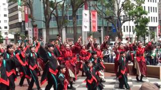 横浜よさこい'16 県内よさこい総踊り - 湘南よさこい