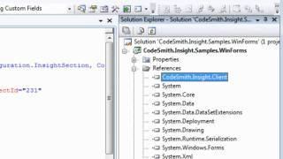 CodeSmith Insight: Simple Configuration