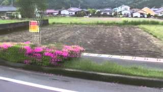 和気公園藤の花満開・20140420 妙見からいわさきバスで国分へ