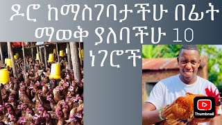 ዶሮ ከማስገባታችሁ በፊት ማወቅ ያለባችሁ 10 ወሳኝ ነገሮች ይህንን ሳታደምጡ ዶሮ እንዳታስገቡ